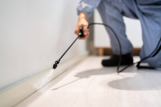 Professional exterminator conducting IPM assessment in Big Lake